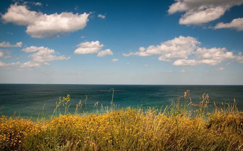 Breaking Down Palace's Pressing System Under Glasner