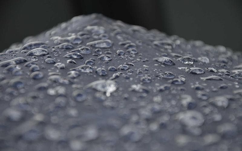 Mateta's Goal-scoring Run Shows No Signs of Slowing